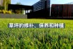 揭秘世界杯赛场草坪养护科技与绿色生态革新实践