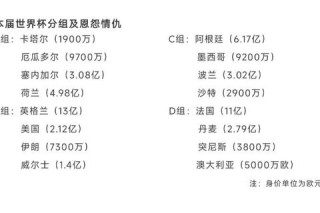 中国足球世界杯阴影下球迷行为分析与监管难题探讨