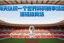 卡塔尔世界杯战术解析：控球致胜与防守反击的艺术