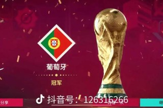 葡萄牙世界杯冠军尚未实现历届赛事表现与未来夺冠前景分析