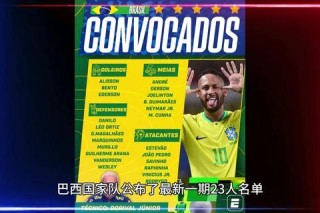 巴西世界杯大巴全程护航揭秘球队征战幕后交通保障故事