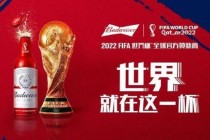 2014世界杯赞助商营销战略揭秘 全球化品牌传播与商业价值共赢之道
